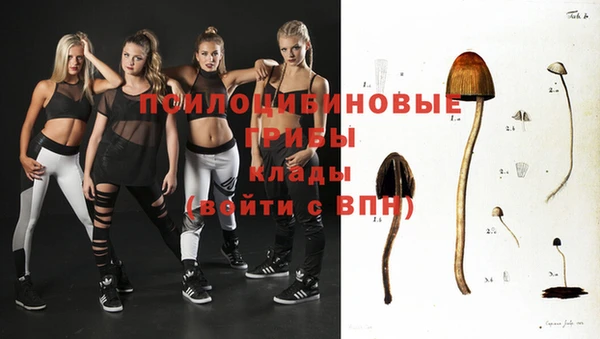 прущий лед Алексеевка
