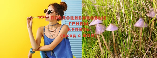 каннабис Алзамай