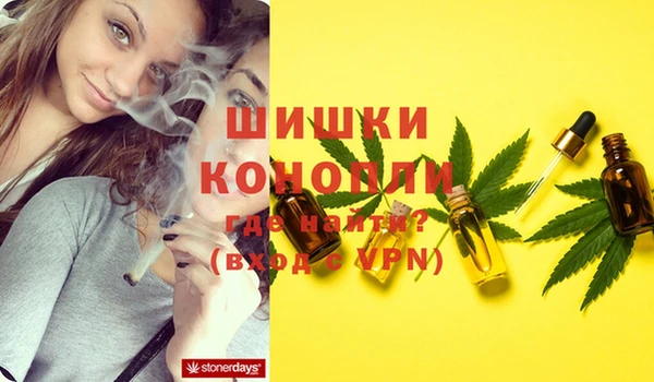 каннабис Алзамай
