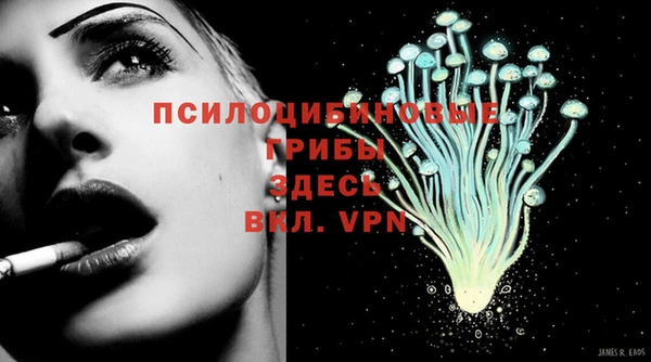 прущий лед Алексеевка