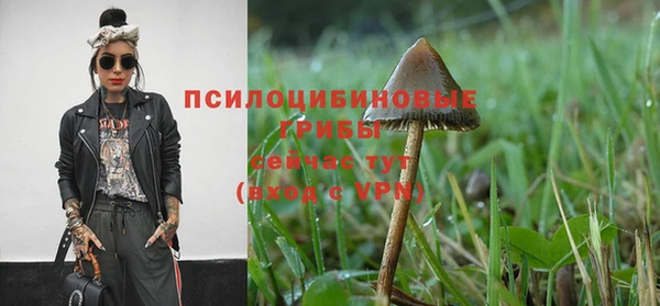 прущий лед Алексеевка